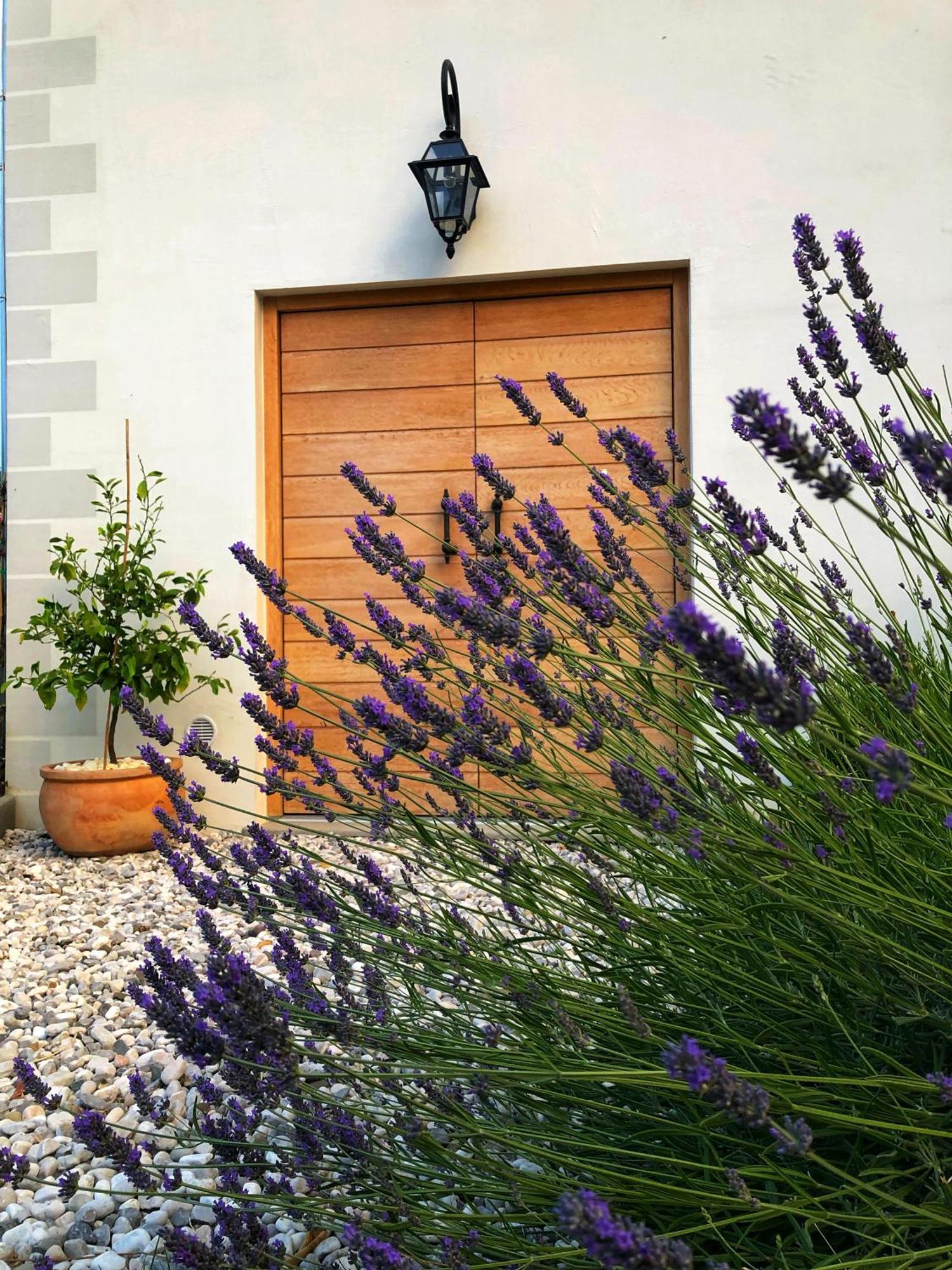 Peterc Vineyard Estate Acomodação com café da manhã Kojsko Exterior foto