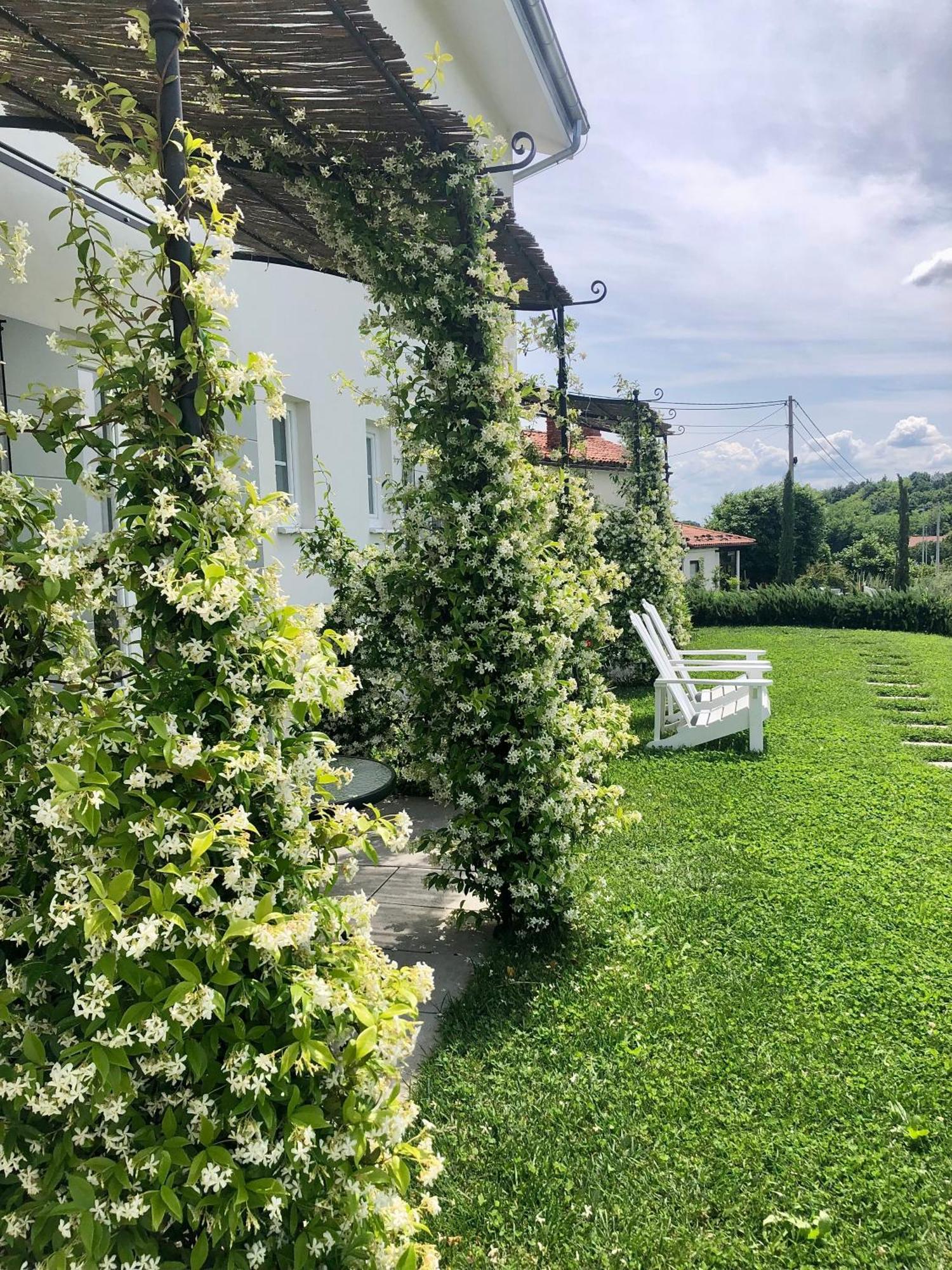 Peterc Vineyard Estate Acomodação com café da manhã Kojsko Exterior foto